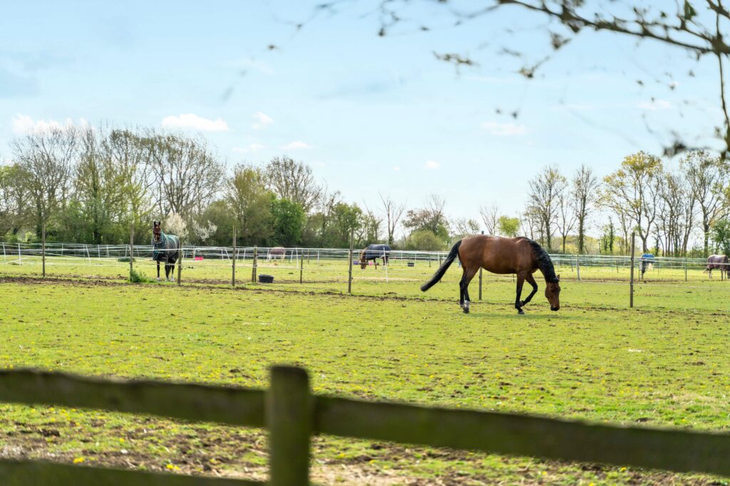 High Roding, Dunmow CM6