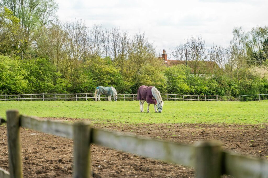 High Roding, Dunmow CM6